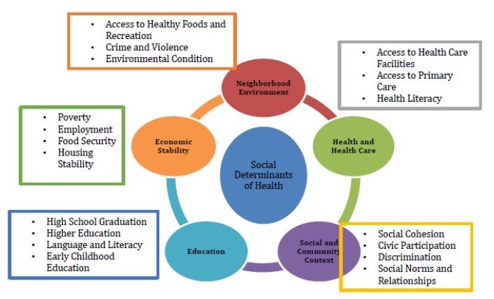 Community Needs Assessment The NARBHA Institute